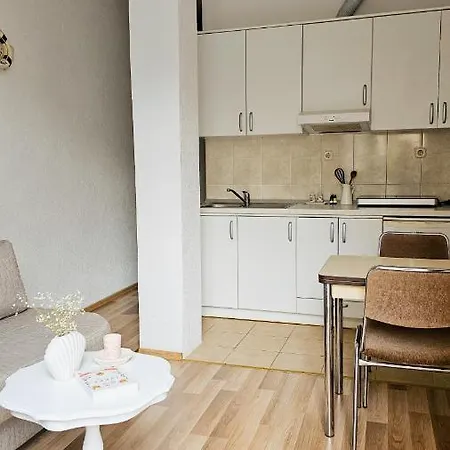 Cozy One-bedroom Apartment, 15 Minutes From Center Apartment *